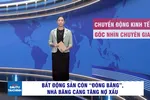 Góc nhìn chuyên gia: Bất động sản còn 'đóng băng', nhà băng càng tăng nợ xấu