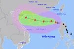 Cuồng phong bão mạnh nhất 8 năm hướng thẳng vào Bắc Bộ