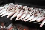 Làng biển Ngư Lộc 'đỏ lửa' vụ cá nướng cho Tết Nguyên đán