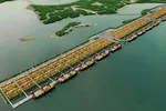 Phối cảnh cảng trung chuyển quốc tế Cần Giờ (ảnh: portcoast)