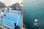 Cho chơi pickleball trên boong, chủ tàu bị xử phạt 12,5 triệu đồng