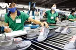 Ngành da giày phụ thuộc lớn vào nguồn nguyên phụ liệu thô nhập khẩu