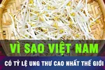 Vì sao Việt Nam có tỷ lệ ung thư cao nhất thế giới?