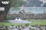 Ghi nhận của phóng viên, nước từ Nhà máy xử lý nước thải Hồ Tây vào Hồ Tây qua Hồ Sen, qua đường ống bắt đầu được xả vào Hồ Sen