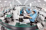 Việt Nam có nhiều cơ hội trong các lĩnh vực FDI, chuyển đổi số, tăng trưởng xanh