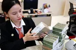 Các ngân hàng đang điều chỉnh tăng lãi suất huy động.