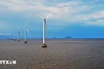 Điện gió Cà Mau. (Ảnh: Huỳnh Anh/TTXVN)
