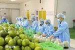 Doanh nghiệp nâng tầm năng lực mới cạnh tranh quốc tế