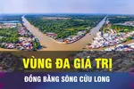 Vùng đồng bằng sông Cửu Long làm nhiều hơn, bán cao hơn