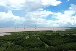 Nhà máy điện gió Tân Thuận (xã Tân Thuận, tỉnh Cà Mau) đã đưa vào vận hành thương mại