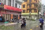 Mưa bão gây mất điện trên một số khu vực ở Móng Cái, Quảng Ninh. Ảnh VTV