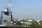 EVFTA sau sáu năm đã thúc đẩy kim ngạch thương mại Việt Nam-EU vượt 383,8 tỷ USD, mở rộng cơ hội hợp tác và tăng trưởng kinh tế bền vững. (Ảnh: Vietnam+) 