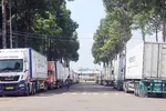 Xe container chở sầu riêng xếp hàng chờ lấy mẫu kiểm định phục vụ xuất khẩu, gây ùn ứ khu vực bến xe Dầu Giây, TP Đồng Nai