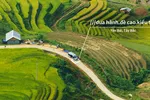 Vietnam Post chính thức sử dụng công nghệ định vị what3words