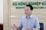 Xuất khẩu sầu riêng lao dốc, Bộ Nông nghiệp và Môi trường họp khẩn