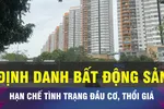 18 GIỜ NGÀY 3-3: Định danh BĐS để hạn chế đầu cơ, thổi giá tại TPHCM