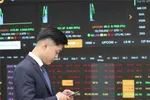 Nhóm Vingroup ‘hợp lực’ kéo VN Index đi lên