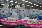 Cà Mau đột phá nhiều lĩnh vực mới để đạt mục tiêu tăng trưởng