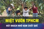 18 GIỜ NGÀY 27-6: Du lịch nhà vườn tại TPHCM bất ngờ hút khách