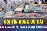 18 GIỜ NGÀY 11-7: Vì sao doanh nghiệp khó tiếp cận gói tín dụng ưu đãi?