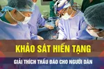 8 GIỜ NGÀY 27-10: Lấy ý kiến trẻ em về hiến tạng, làm sao cho người dân rõ?