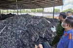 Gây ô nhiễm môi trường, giám đốc doanh nghiệp bị khởi tố 