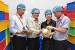 TPHCM đảm bảo an toàn thực phẩm các suất ăn trường học