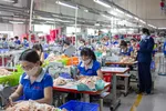 Công ty Dệt may Kim Dung chuyên may quần áo thời trang tại Vĩnh Lộc A, Bình Chánh, TPHCM. Ảnh: HOÀNG HÙNG