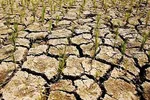 El Nino kéo dài, nhiều vùng sản xuất đối mặt nguy cơ hạn hán nặng