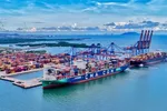 Tàu container cập cảng Gemalink (phường Tân Phước, TPHCM). Ảnh: THÀNH HUY