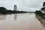 Bão gây mưa to. Nước lũ trên sông Kỳ Cùng lên nhanh. Ảnh: ĐÀI KTTV LẠNG SƠN cung cấp