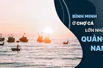 Bình minh ở chợ cá lớn nhất Quảng Nam