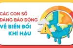 Các con số đáng báo động về biến đổi khí hậu