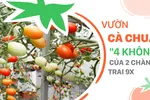 Vườn cà chua '4 không' của 2 chàng trai 9X