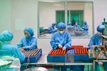 Nhập siêu, dấu hiệu chuẩn bị cho chu kỳ tăng trưởng mới