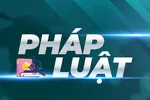 Ngăn chặn mạo danh cá nhân lập doanh nghiệp