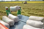 Mở rộng không gian hợp tác ASEAN