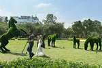 Lấp 'khoảng trống' mảng xanh đô thị để nâng cao chất lượng sống