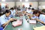 Làm sạch mã số thuế, siết doanh nghiệp 'ma'
