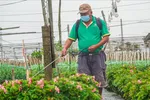 Nông dân Việt dần thích nghi thời đại số