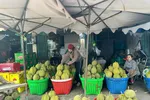 Đồng Tháp siết truy xuất nguồn gốc sầu riêng xuất khẩu