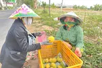 Đồng Tháp đưa 'chợ số' đến với nông dân