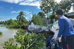 ĐBSCL: Sạt lở bủa vây, khẩn trương gia cố bờ sông