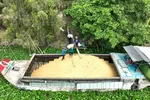 ĐBSCL: Nông dân trồng lúa lo vụ hè - thu bấp bênh 