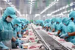 Xuất khẩu thủy sản sẽ tăng 1,4 tỷ USD khi thẻ vàng IUU được gỡ