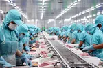 Xuất khẩu thủy sản đạt gần 6 tỷ USD, áp lực đổ dồn vào 6 tháng cuối năm