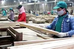 Gỗ dán Việt Nam là một trong những sản phẩm xuất khẩu chủ lực.