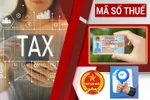 Ngành thuế quyết tâm làm sạch mã số thuế trong kinh doanh