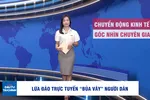 Góc nhìn chuyên gia: Lừa đảo trực tuyến “bủa vây” người dân