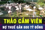 18 GIỜ HÔM NAY: Thảo Cầm Viên nợ thuế gần 800 tỷ đồng; Hamas đồng ý thả con tin